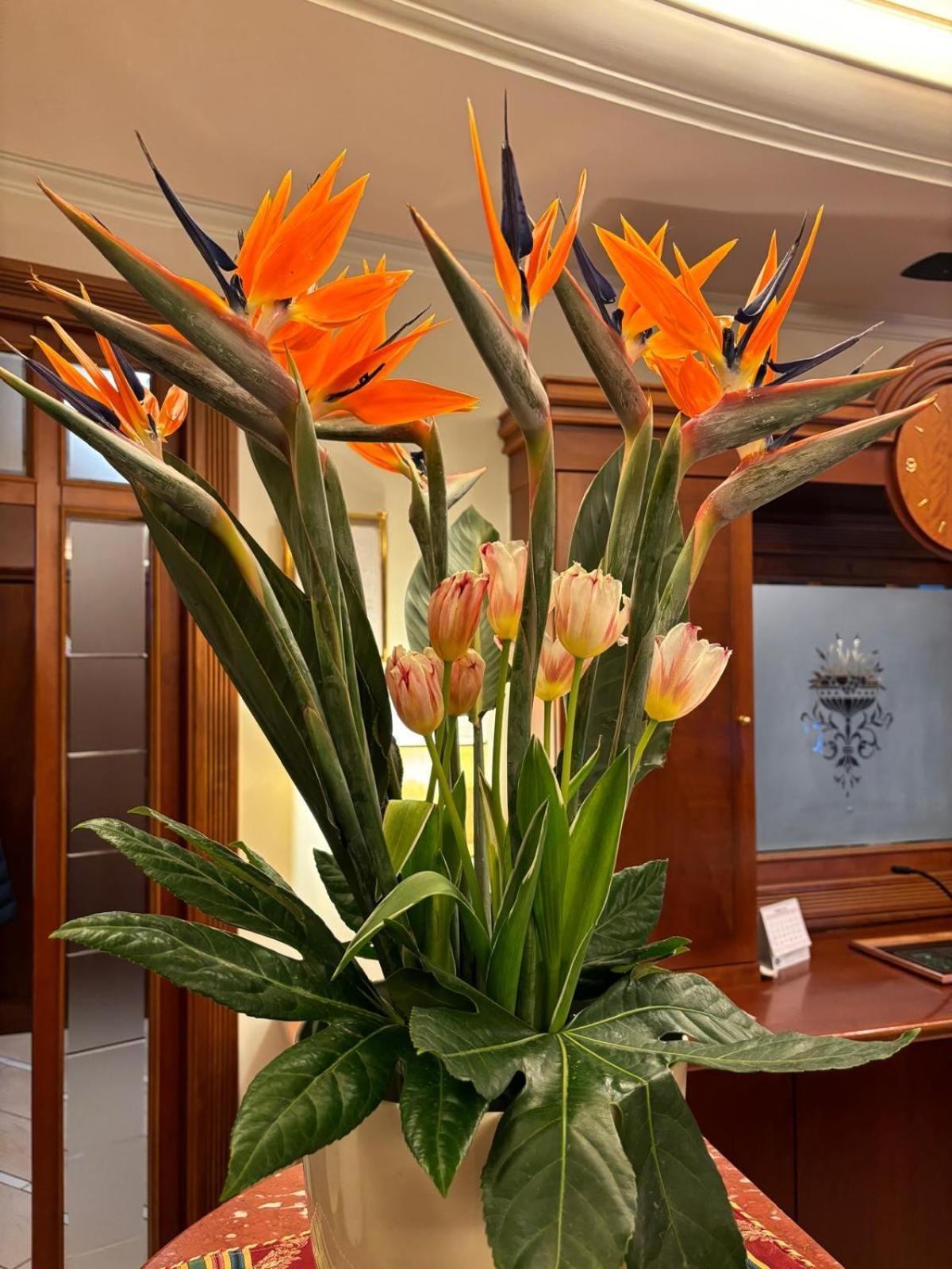 Hotel Valle Rossa San Giovanni Rotondo Kültér fotó